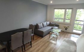 Apartament Sloneczny